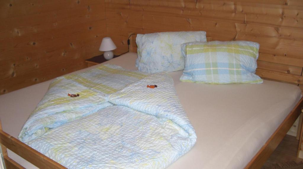 Appartement Leirer Alpbach Rom bilde