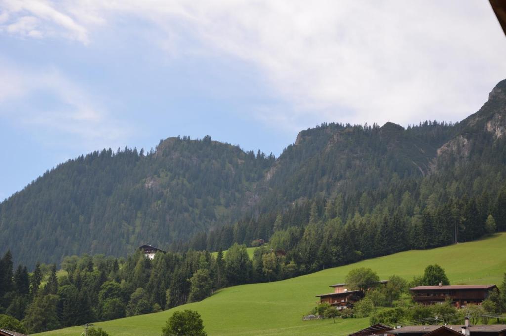 Appartement Leirer Alpbach Rom bilde