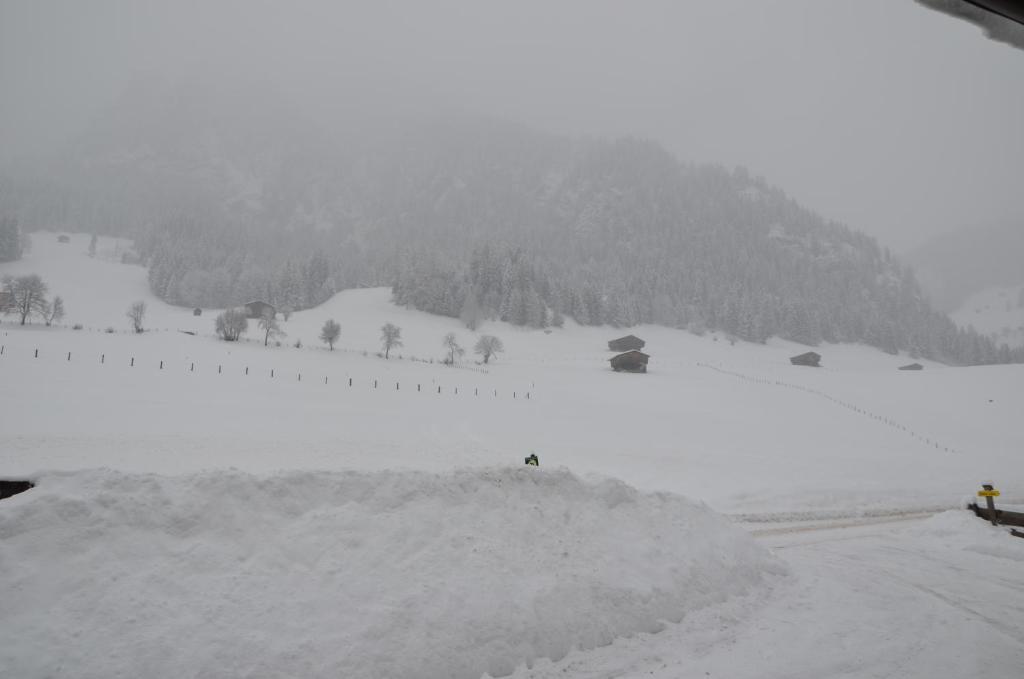 Appartement Leirer Alpbach Rom bilde